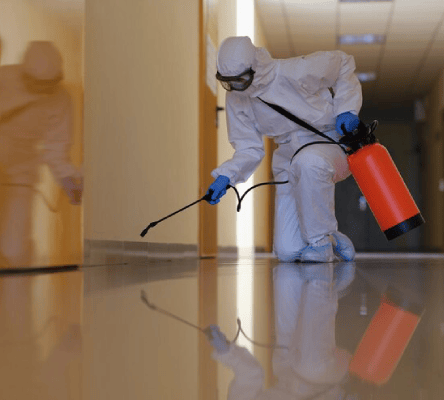 Commercial Pest Control Services in Warragul